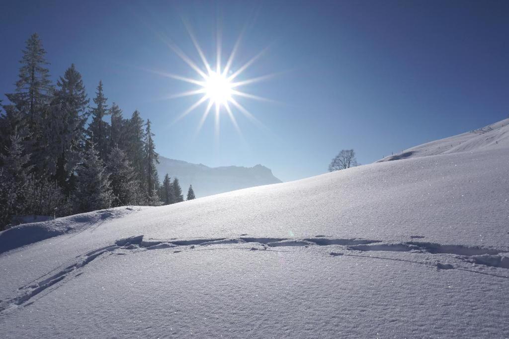 Gasthof Zum Gruenen Baum Verano Exteriör bild