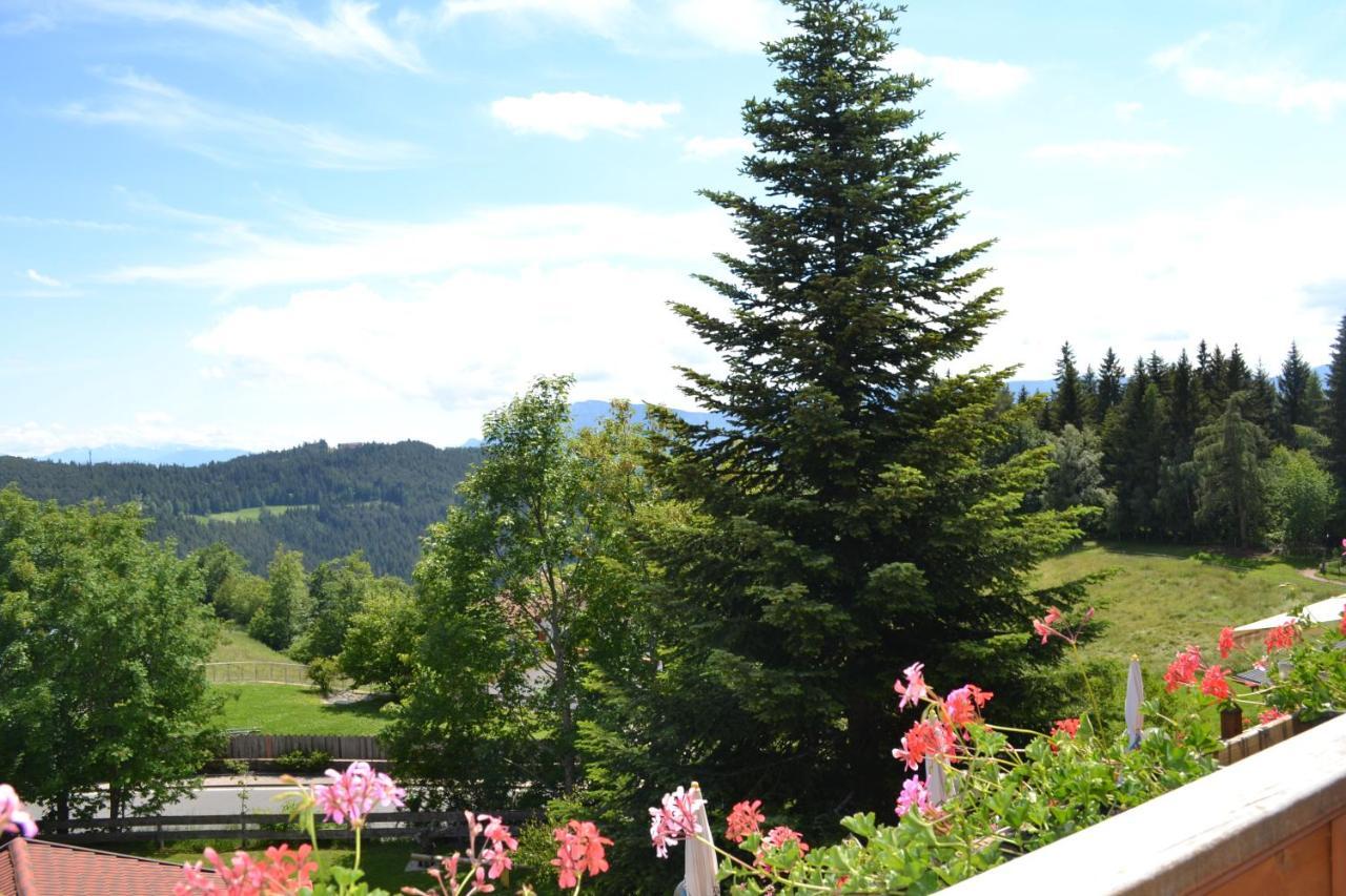 Gasthof Zum Gruenen Baum Hotell Verano Exteriör bild